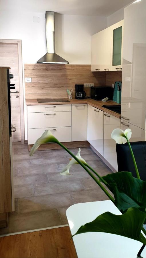 Apartman Ela Donji Rukavac Экстерьер фото