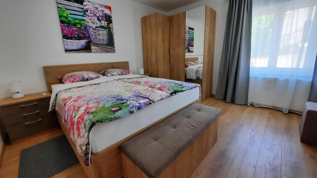 Apartman Ela Donji Rukavac Экстерьер фото